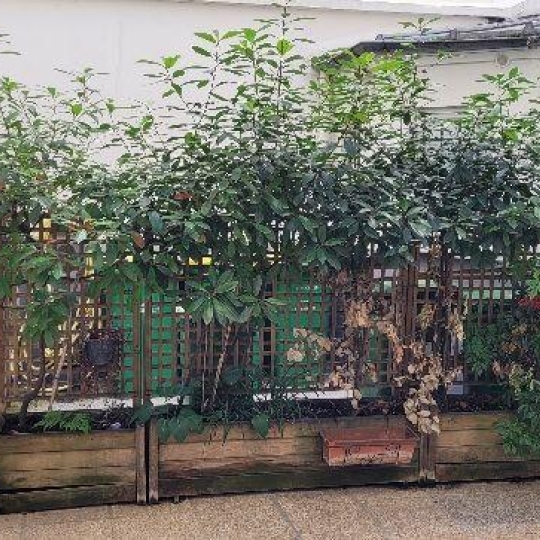  Annonces VINCENNES : Appartement | PARIS (75017) | 17 m2 | 150 000 &euro; 