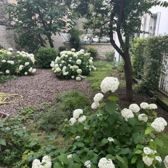  Annonces VINCENNES : Appartement | PARIS (75009) | 30 m2 | 425 000 &euro; 