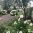  Annonces VINCENNES : Appartement | PARIS (75009) | 30 m2 | 425 000 &euro; 