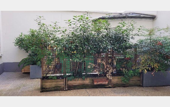 Annonces VINCENNES : Appartement | PARIS (75017) | 17 m2 | 150 000 &euro; 